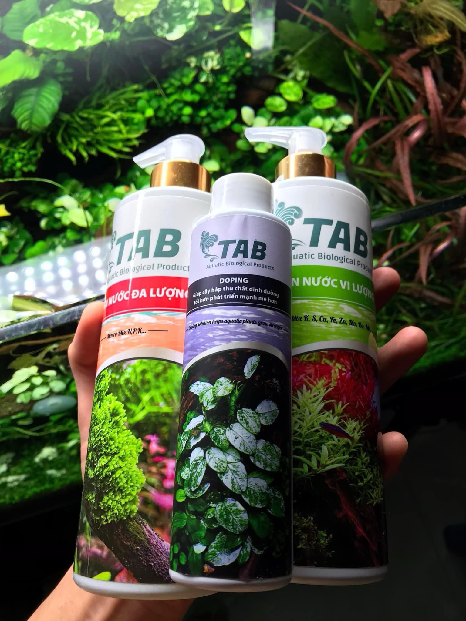 Doping TAB - Kích thích cây đâm chồi 150ml